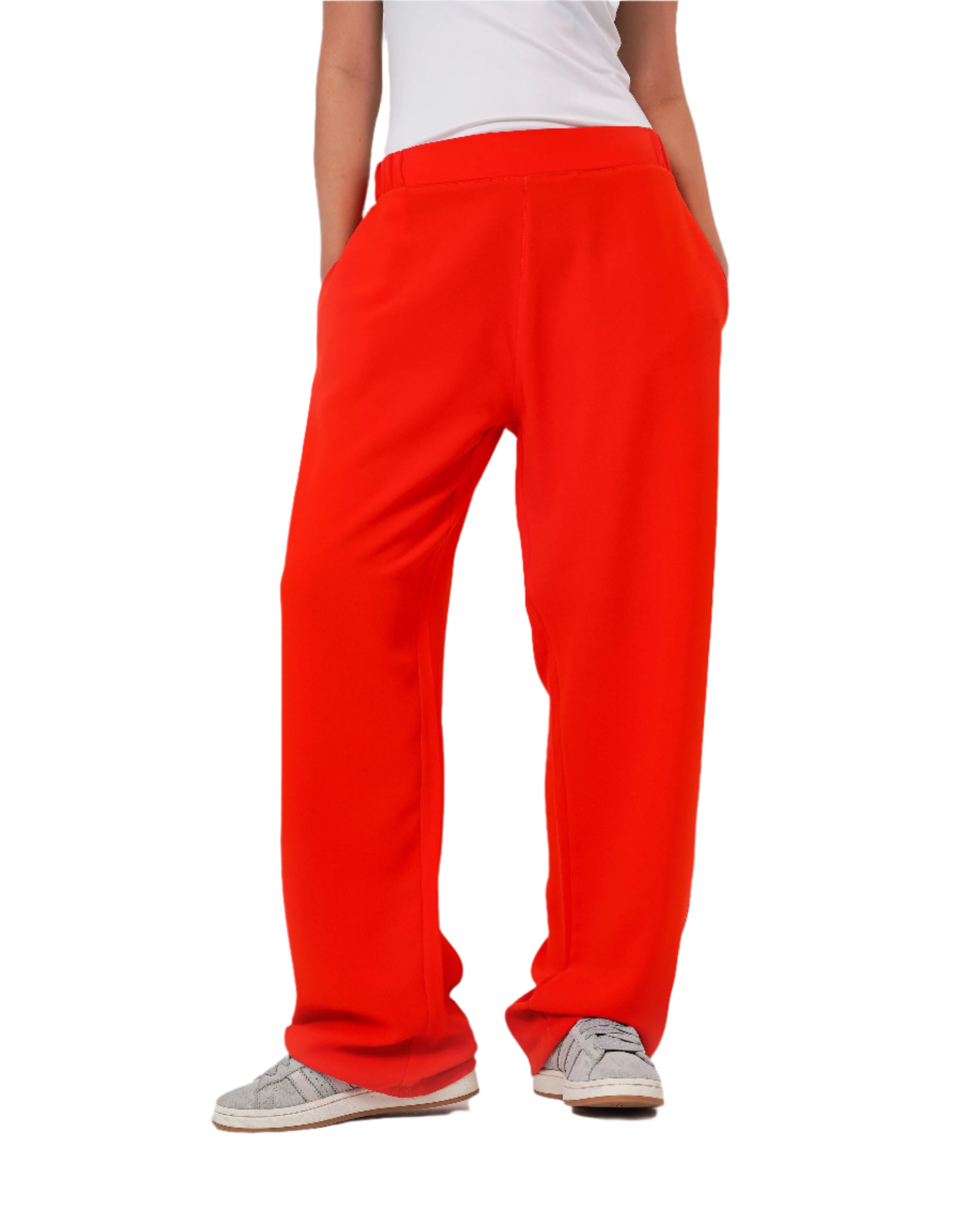 V-HUE Pants